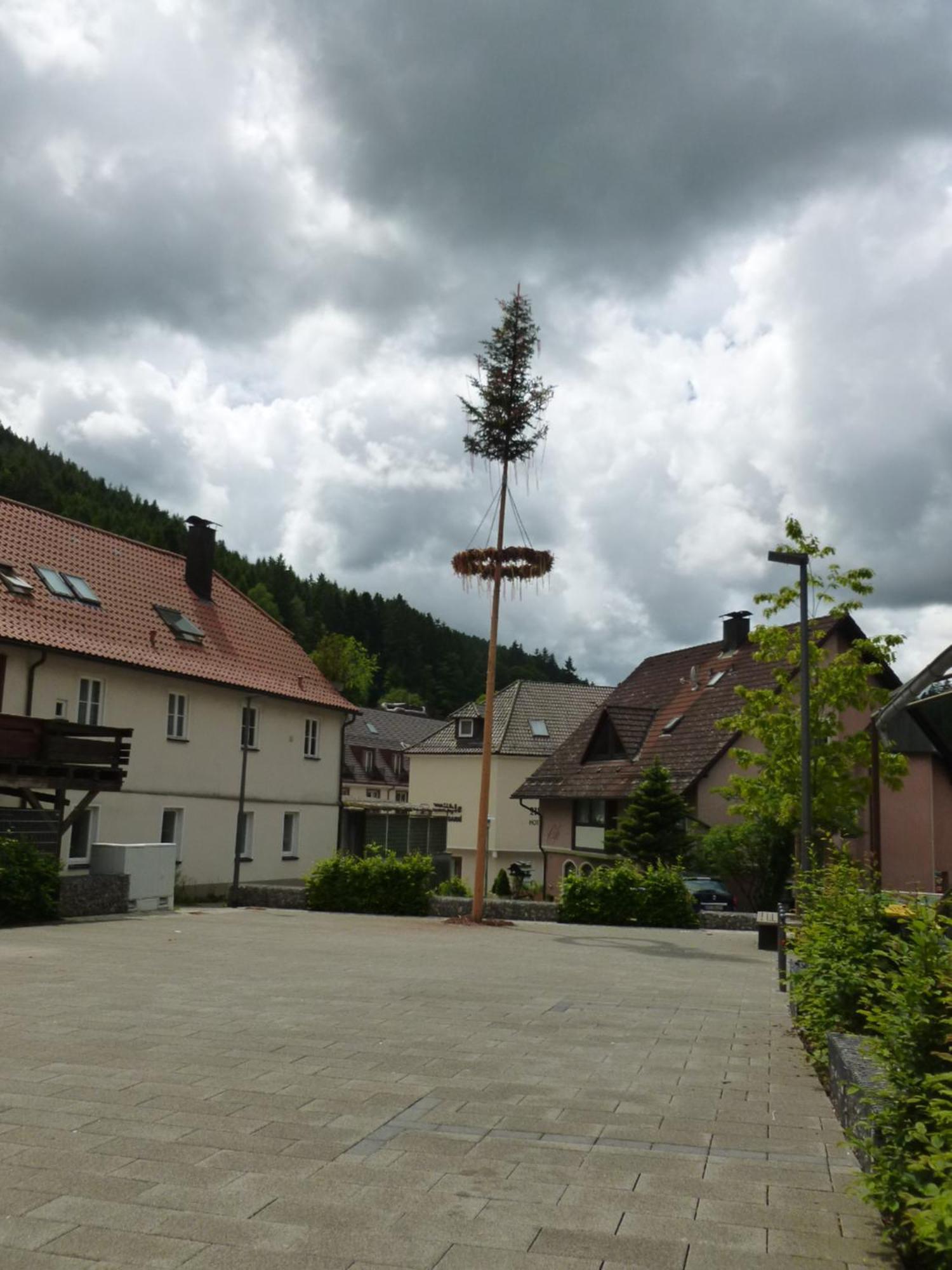 Gasthaus Waldhorn 바트타이나흐자벨슈타인 외부 사진